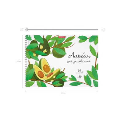 Альбом для рисования А4, 20 листов на спирали, ErichKrause Juicy Fruits, блок 120 г/м², 100% белизна, перфорация для отрыва, твёрдая подложка, МИКС