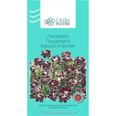 Семена Гвоздика Геддевига Чёрное и белое 0,1гр, арт.: 3144