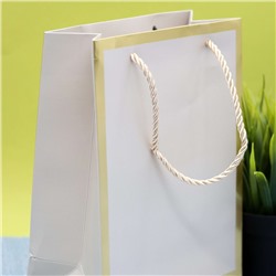 Пакет подарочный (S) «Classic line», white (24.5*19.5*9.5)