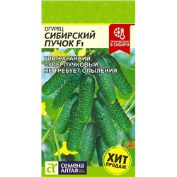 Семена Огурец Сибирский Пучок F1, арт.: 13588