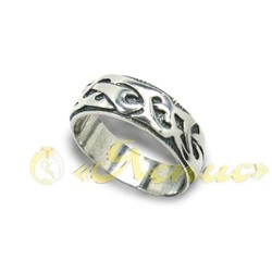 0673К   Ричард