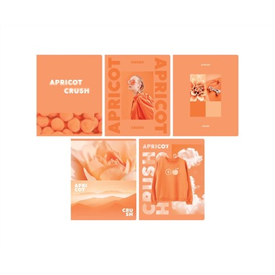 Тетрадь 48л., А5, клетка BG "Apricot", матовая ламинация