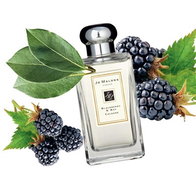 J M Blackberry & Bay For Women edc 100 ml