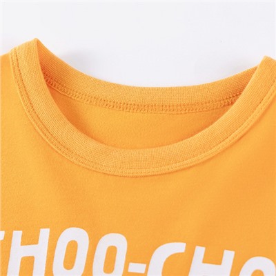 Футболка с длинным рукавом Little Maven