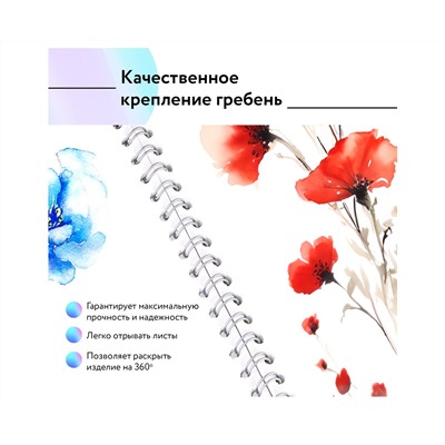 Альбом для рисования 40л., А4, на гребне BG "Хвостатый гонщик"