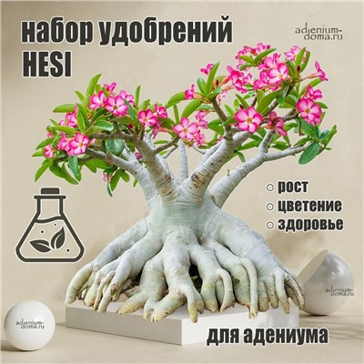 Набор удобрений Adenium 'ОТ РОСТКОВ ДО ЦВЕТЕНИЯ'