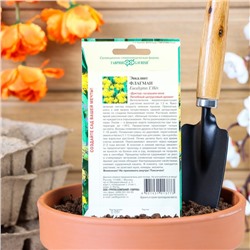 Семена комнатных цветов Эвкалипт «Флагман», 0.05 г, «Гавриш»