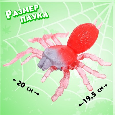 Игрушка-тянучка «Паук», с силиконовыми лапками, МИКС