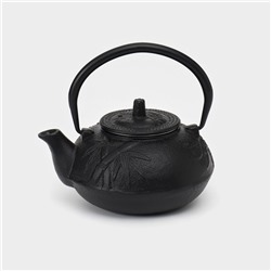 Чайник, 600 мл, с ситом, эмалированное покрытие внутри, чугун, чёрный