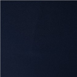 [009-010-849] Брюки «Ягори» синий