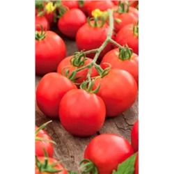 Семена Томат непасынкующийся Округлый, арт.: 70575
