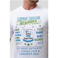 8539 футболка мужская