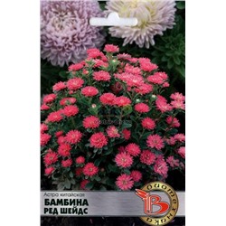 Семена Астра китайская Бамбина Ред Шейдс, арт.: 74855