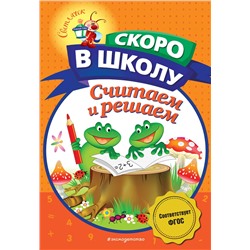 Н. В. Володина. Считаем и решаем