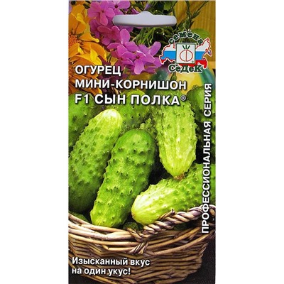 Семена Огурец Сын полка мини-корнишон F1, арт.: 2299