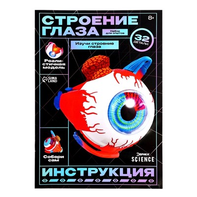 Набор для опытов «Строение глаза», анатомическая модель