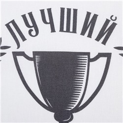 Кух. набор из 2х полот. Доляна "Лучший муж", 36х60 см, 100% хл, 160г/м2