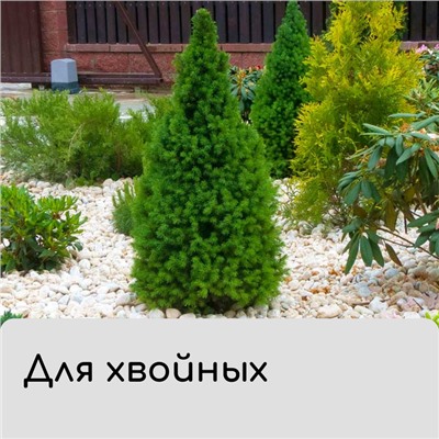Чехол для растений, трапеция на шнурках, 75×70 см, спанбонд с УФ-стабилизатором, плотность 60 г/м²
