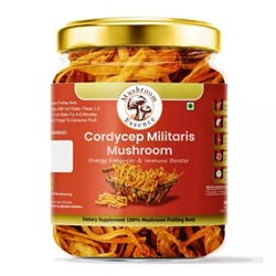 Гриб Кордицепс (35 г), Cordycep Militaris Mushroom, произв. Mushroom Essence