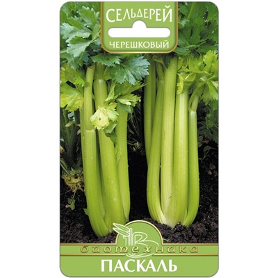 Сельдерей черешковый Паскаль