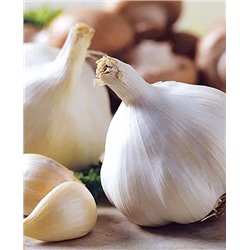 Чеснок озимый Сибирский 10шт, арт.: 1289