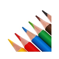 Карандаши цветные 6 цветов TOP Calligrata, супермягкие, в картонной коробке, диаметр грифеля 3 мм, 5B