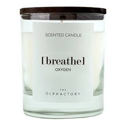 Свеча ароматическая The Olphactory, Breathe Black, Кислород, 40 ч