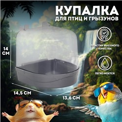 Купалка для птиц, 145 х 136 х 140, серебро