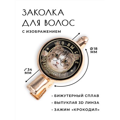 HZF-0368 Заколка Что вы себе позволяете?