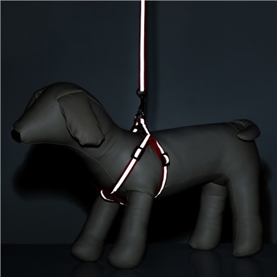 Комплект со светоотражающей лентой, ошейник 120×1 см, ОГ 26-40 см, красный