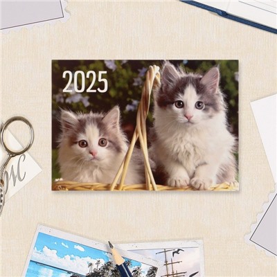 Карманный календарь "Коты" 2025 год, микс, 7 х 10 см