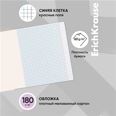 Тетрадь 12 листов в клетку ErichKrause «Классика», обложка мелованный картон, фиолетовая