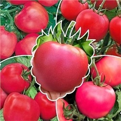 Семена Томат Малиновое чудо 1 серия, арт.: 3721