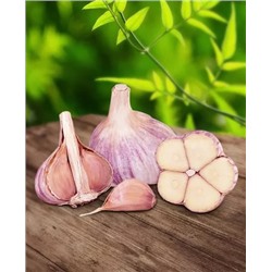 Чеснок озимый Валдайский 10 шт, арт.: 1945