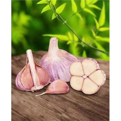 Чеснок озимый Валдайский 10 шт, арт.: 1945