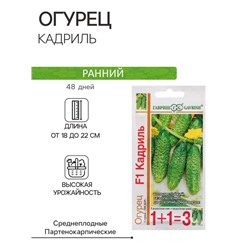 Семена Огурец "Кадриль", F1, корнишон, серия 1+1, 20 шт