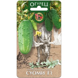 Огурец Суоми F1