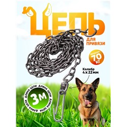 Цепь для привязи собак, 3 м, калибр 4 х 22 мм, черная