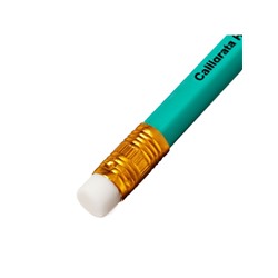Набор карандашей чернографитных 12 штук, Calligrata Classic, с ластиком, заточенные, пластик, трехгранные, зеленые