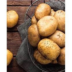 Семенной Картофель Ла страда, арт.: 4094