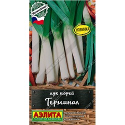 0501 Лук порей Терминал 1гр