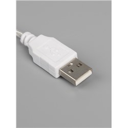 Неоновая вывеска «Молния» 13 × 33.5 см, батарейки ААх3 (не в комплекте), USB, свечение тёплое белое