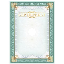 Сертификат А4, BG, мелованный картон, тиснение фольгой, вертикальный