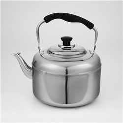 Чайник, 6 л, нержавеющая сталь