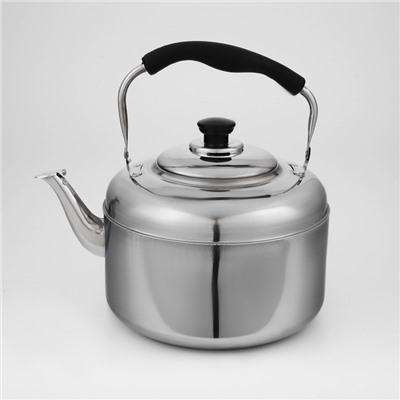 Чайник, 6 л, нержавеющая сталь