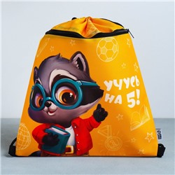 Мешок для обуви «Учусь на 5!» 2 секции, 41×31 см