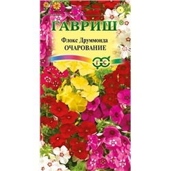 Флокс друммонда Очарование СМЕСЬ