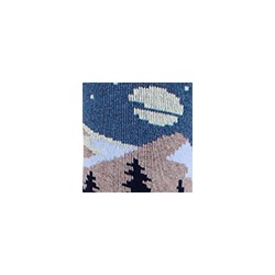 Носки мужские 18С2424 476 Брестские Arctic Conte [6шт] Дроп