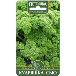 Петрушка курчаволистная Кудряшка Сью