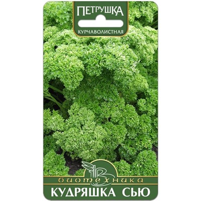Петрушка курчаволистная Кудряшка Сью